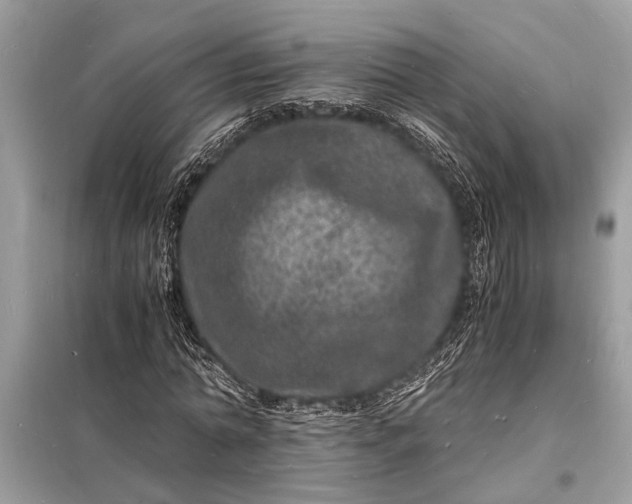 X0000098180774200805081023