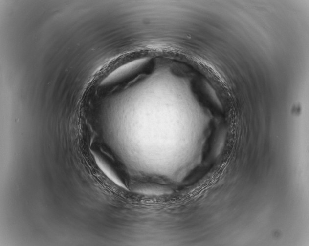 X0000098180776200805081023