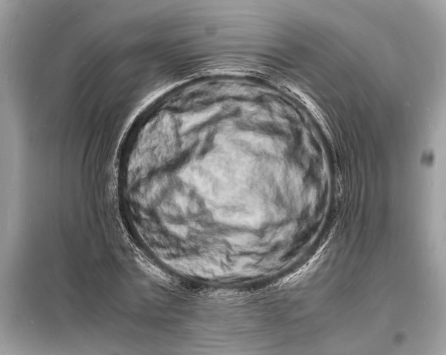 X0000098180779200805081023