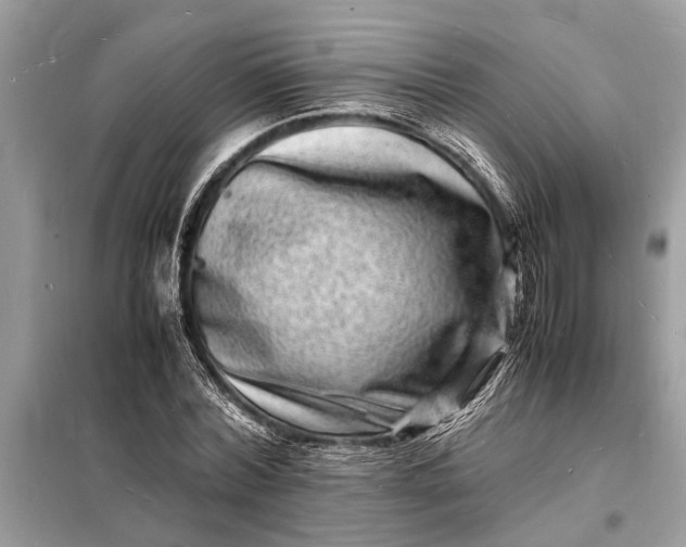 X0000098180780200805081023