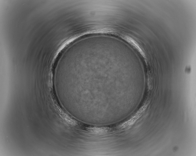 X0000098180781200805081023