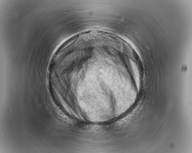 X0000098180783200805081023