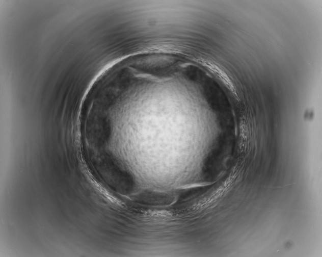 X0000098180784200805081023