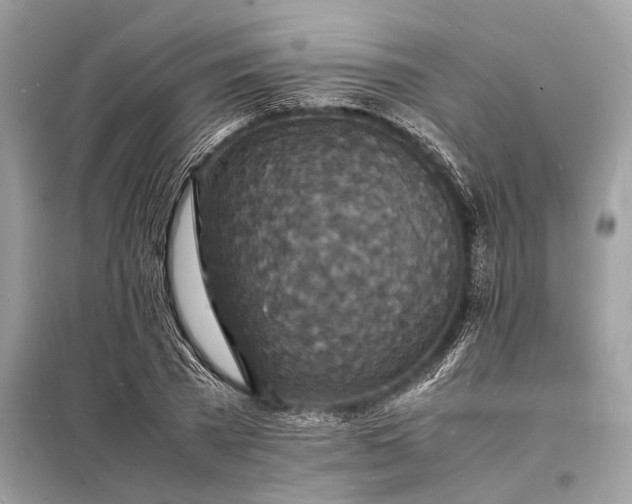 X0000098180785200805081023