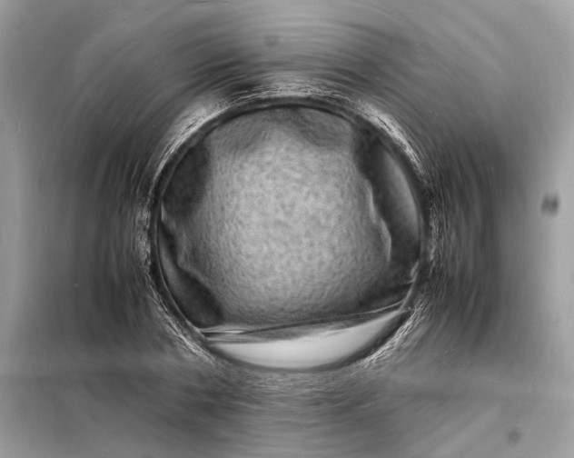 X0000098180786200805081023