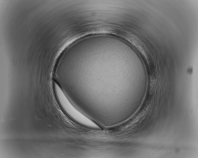 X0000098180789200805081023