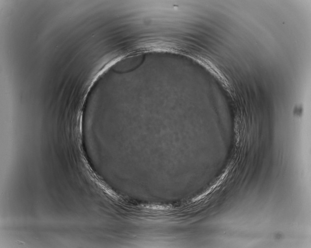 X0000098180790200805081023