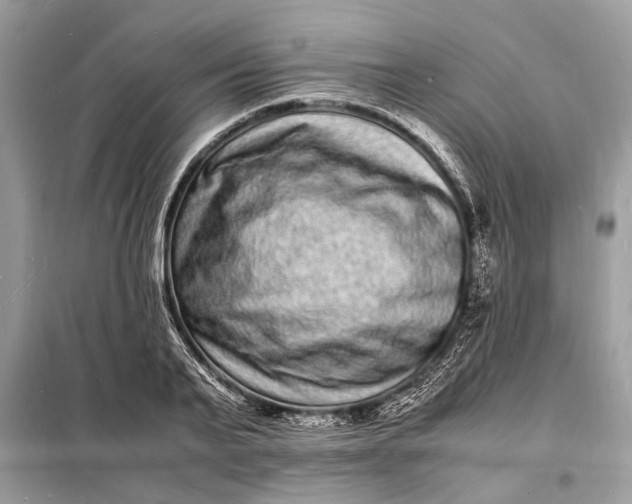 X0000098180791200805081023