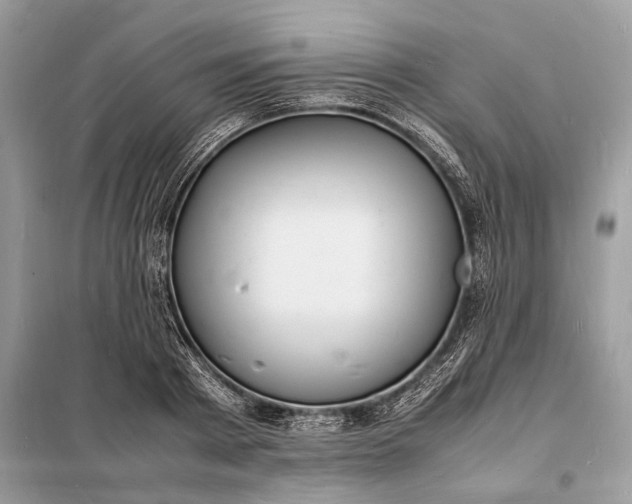 X0000098180793200805081023