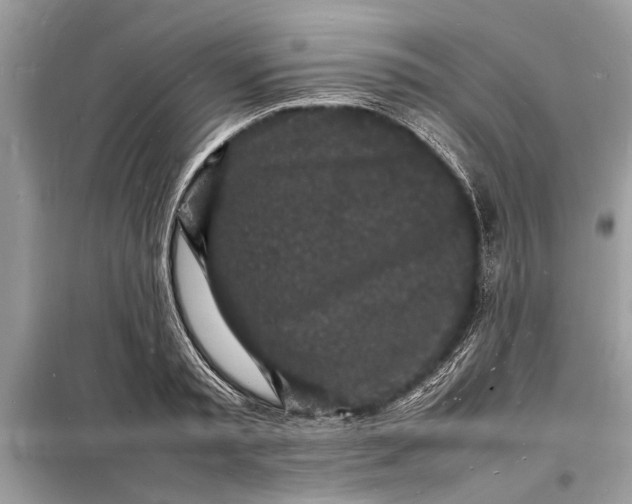 X0000098180797200805081023