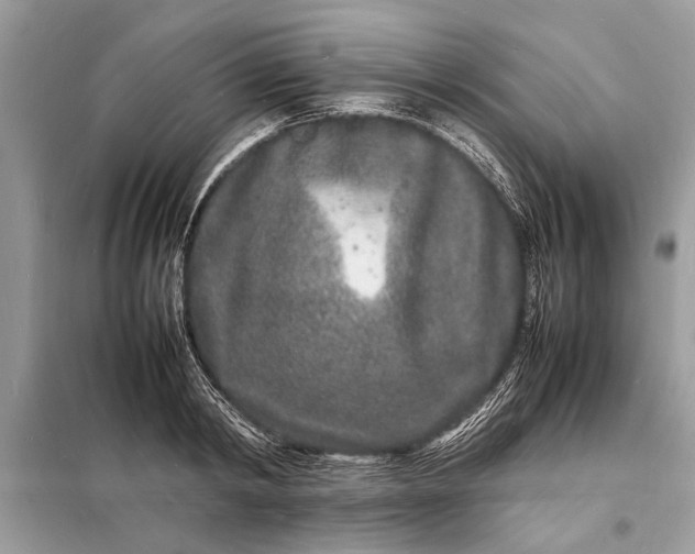 X0000098180798200805081023