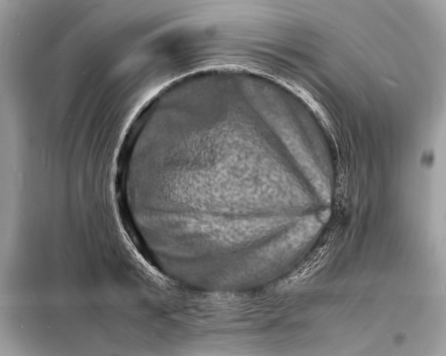 X0000098180799200805081023