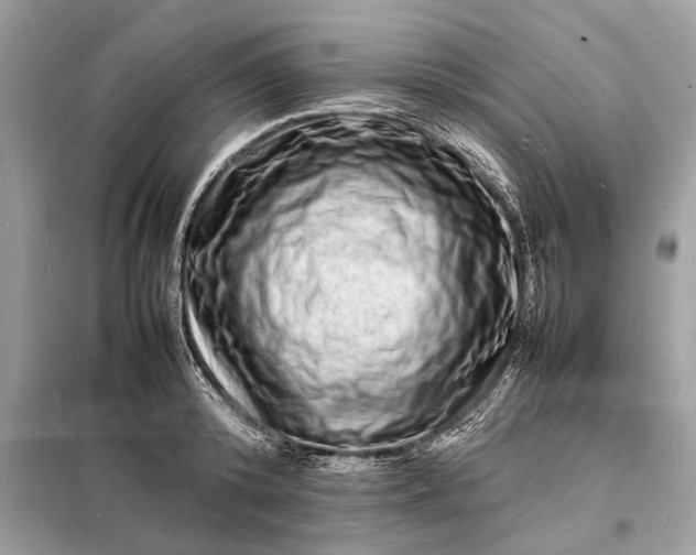 X0000098180800200805081023