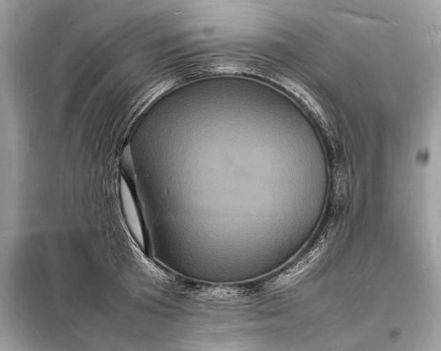 X0000098180801200805081023