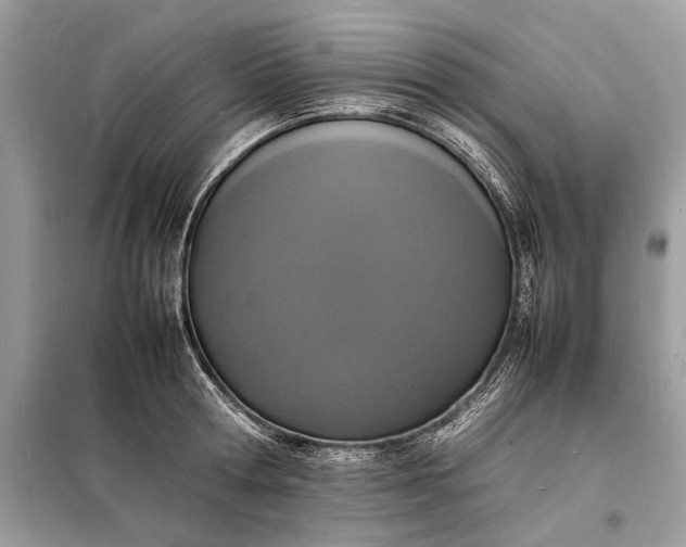 X0000098180802200805081023