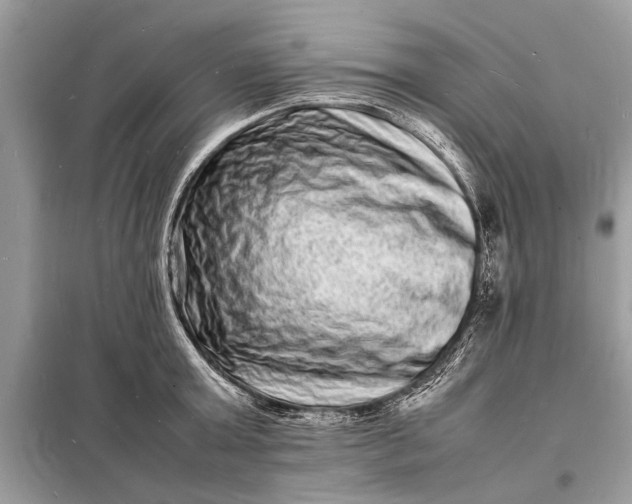 X0000098180803200805081023