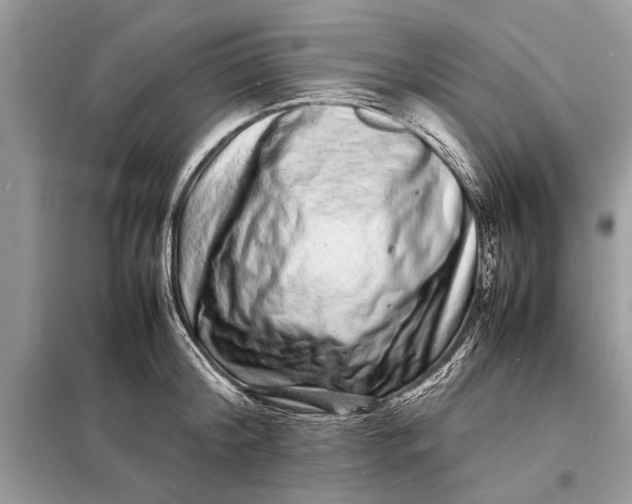 X0000098180804200805081023