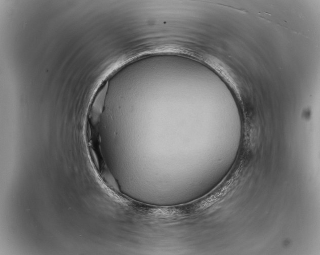 X0000098180805200805081023