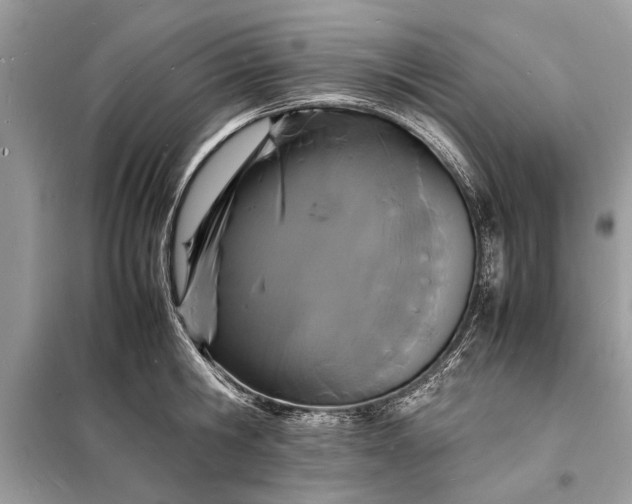 X0000098180806200805081023