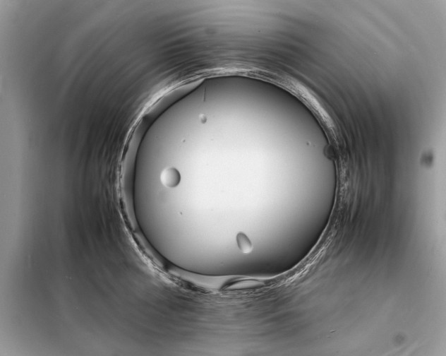 X0000098180810200805081023