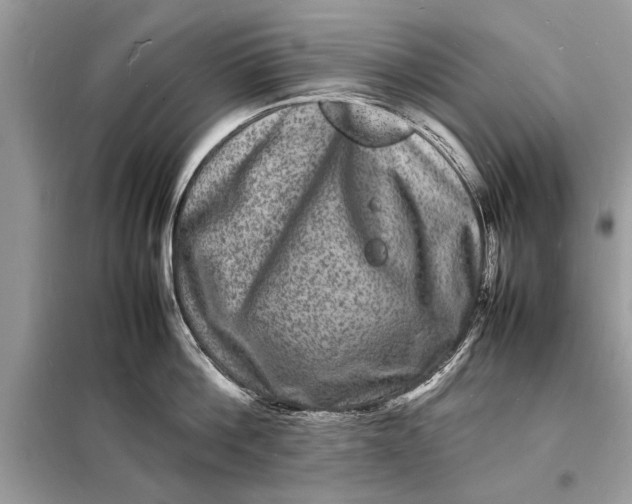 X0000098180812200805081023