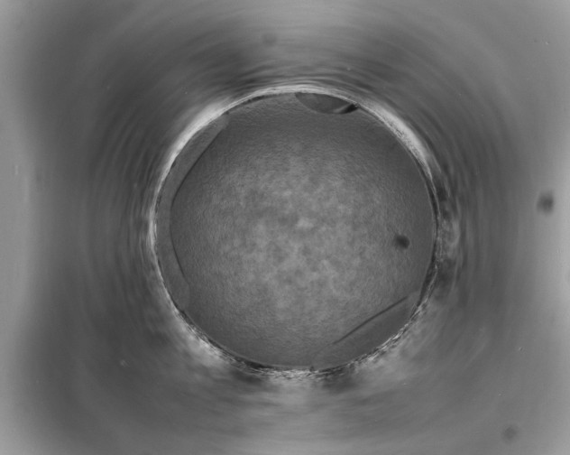 X0000098180813200805081023