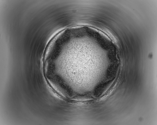 X0000098180814200805081023