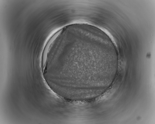 X0000098180815200805081023