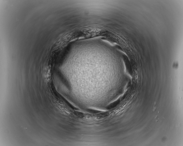 X0000098180818200805081022