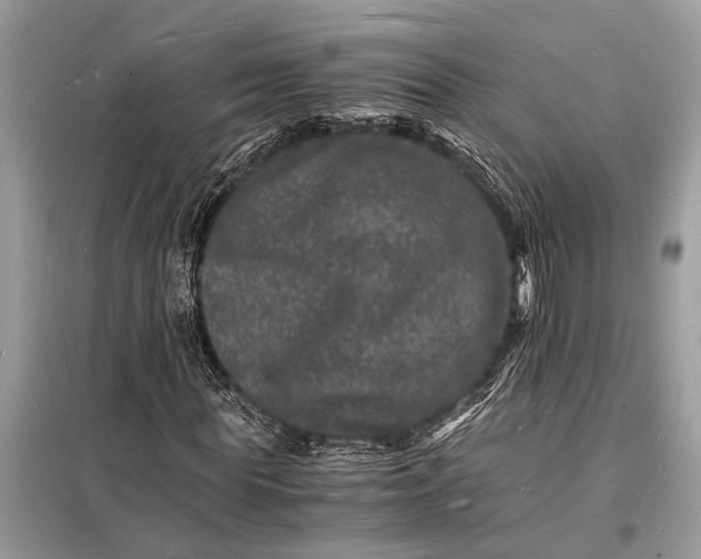 X0000098180819200805081022