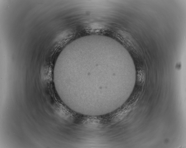 X0000098180820200805081022