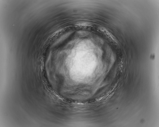 X0000098180821200805081022