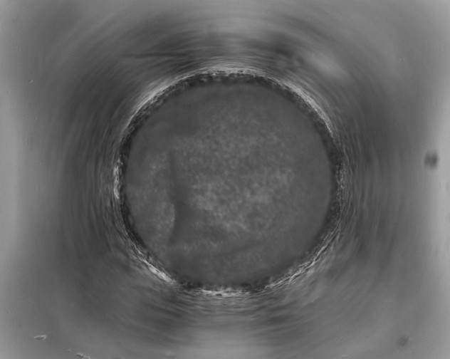 X0000098180823200805081022