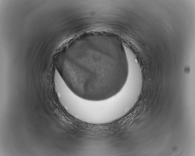 X0000098180824200805081022