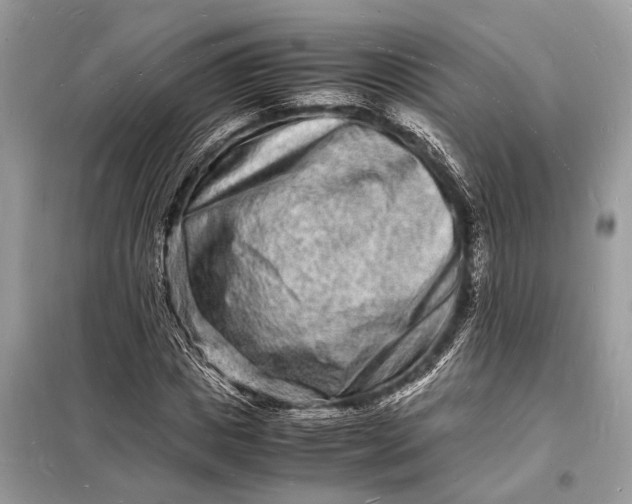 X0000098180825200805081022