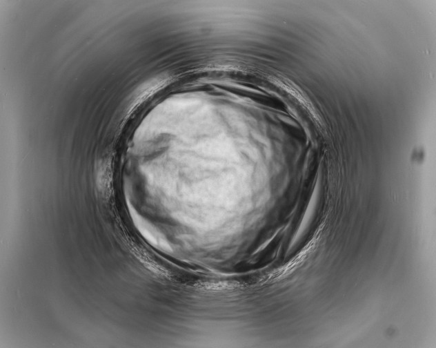 X0000098180826200805081022