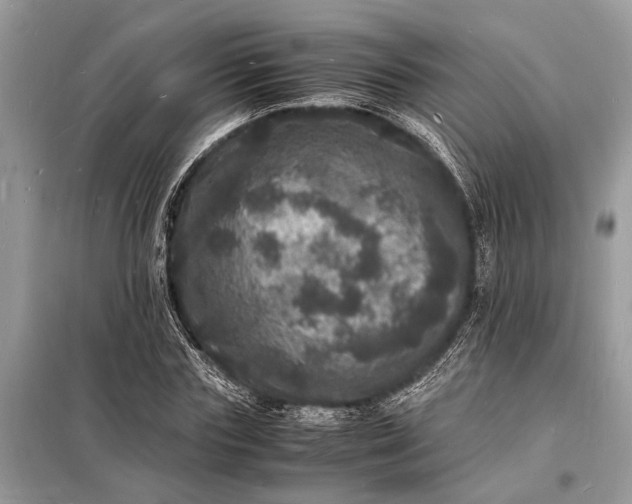 X0000098180827200805081022