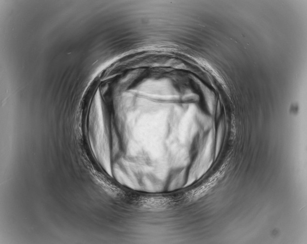 X0000098180830200805081022