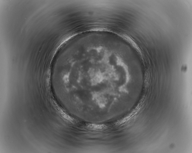 X0000098180831200805081022