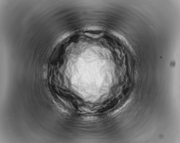 X0000098180833200805081022