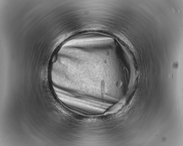 X0000098180834200805081022