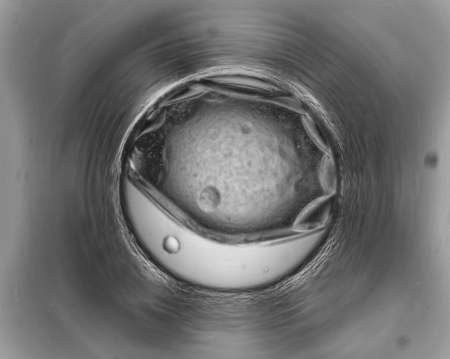 X0000098180836200805081022