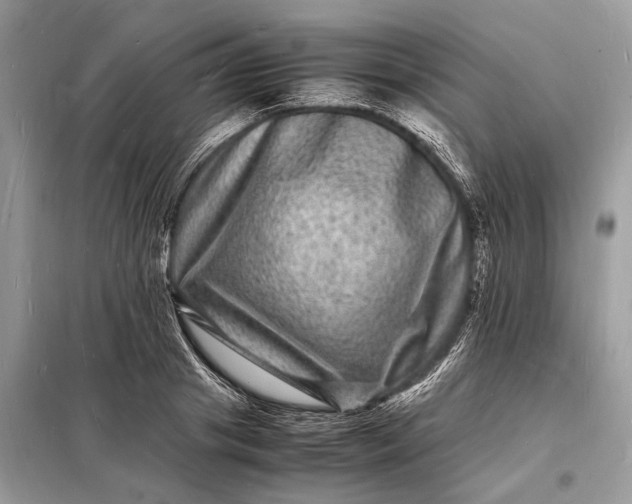 X0000098180841200805081022