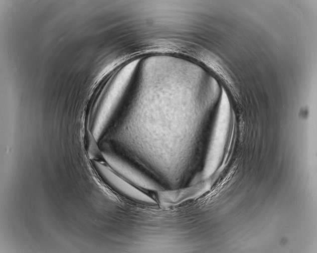 X0000098180842200805081022