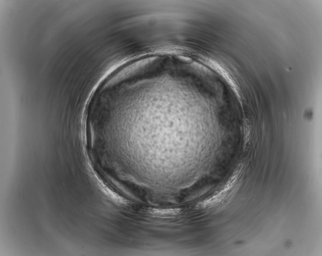 X0000098180843200805081022