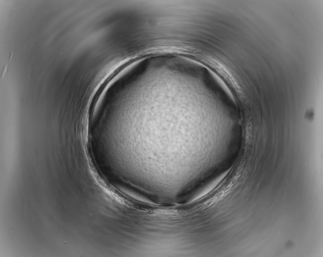 X0000098180844200805081022