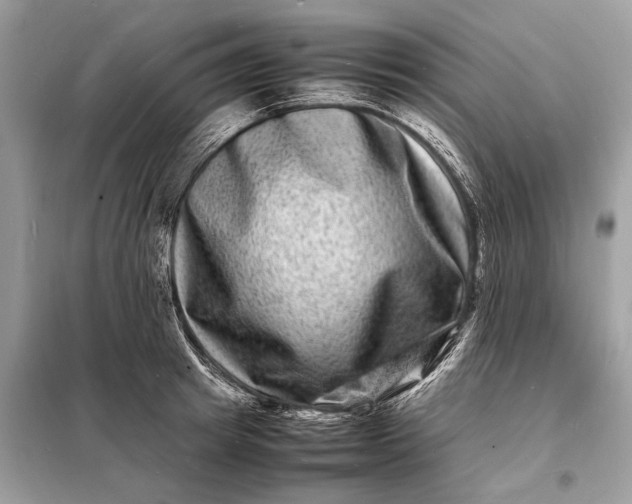 X0000098180849200805081022