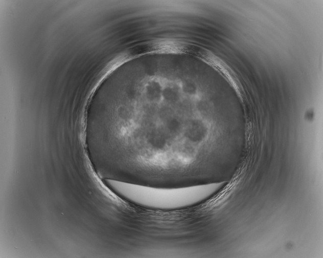 X0000098180851200805081022