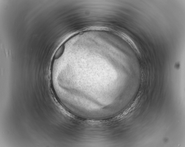 X0000098180852200805081022