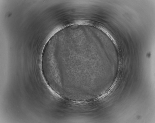 X0000098180853200805081022